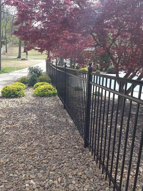 Black ornamental iron fence beside a Japanese maple in Northwest Arkansas
